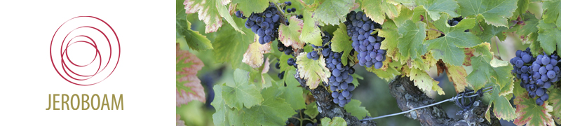 JEROBOAM CO.,LTD