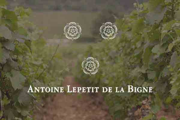 Antoine Lepetit