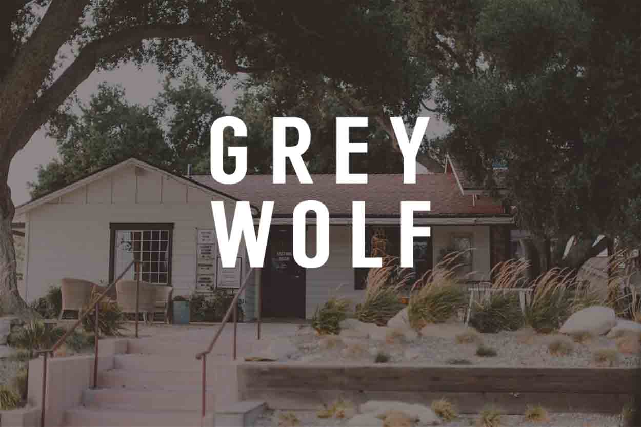 grey wolf