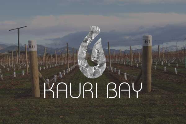 kauri bay