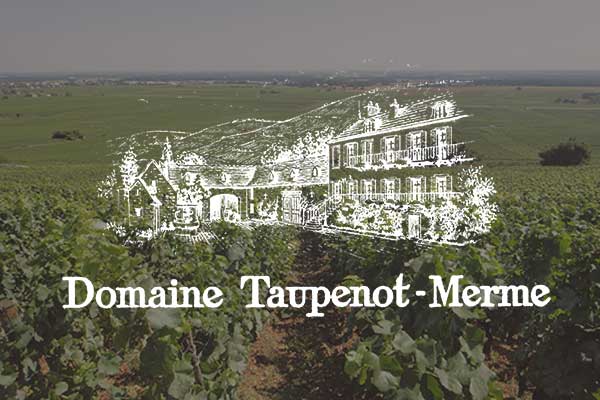 taupenot-merme